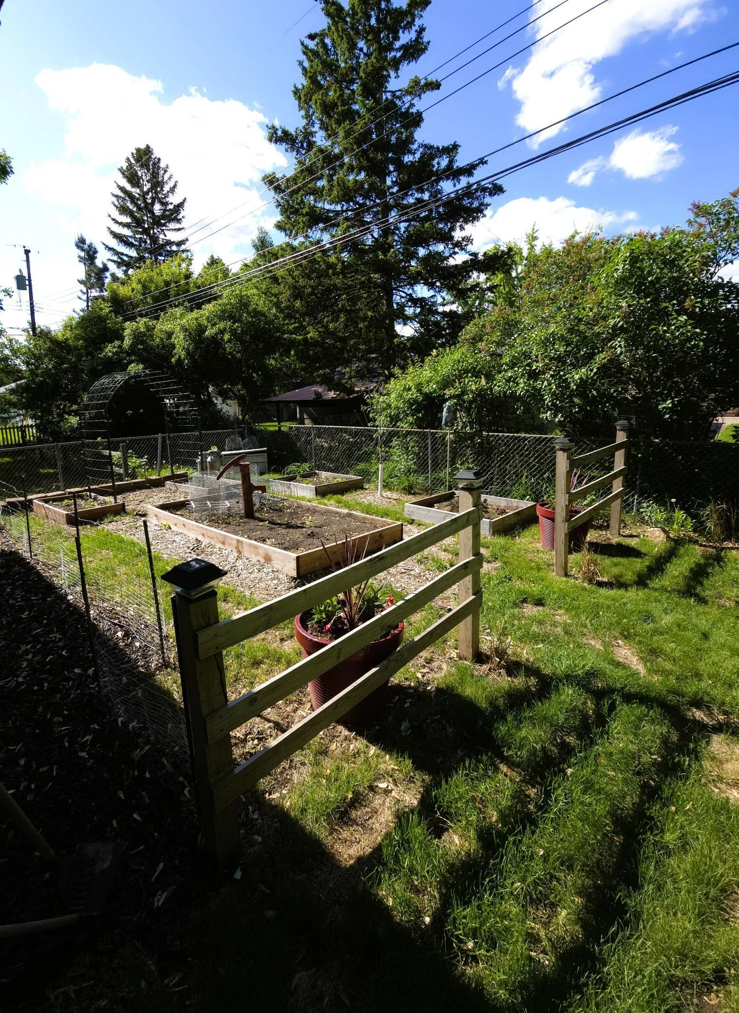719 back yard garden area.jpg
