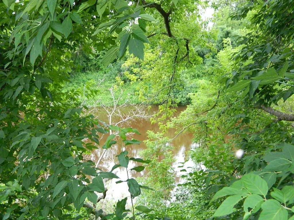 DSCN5950.JPG