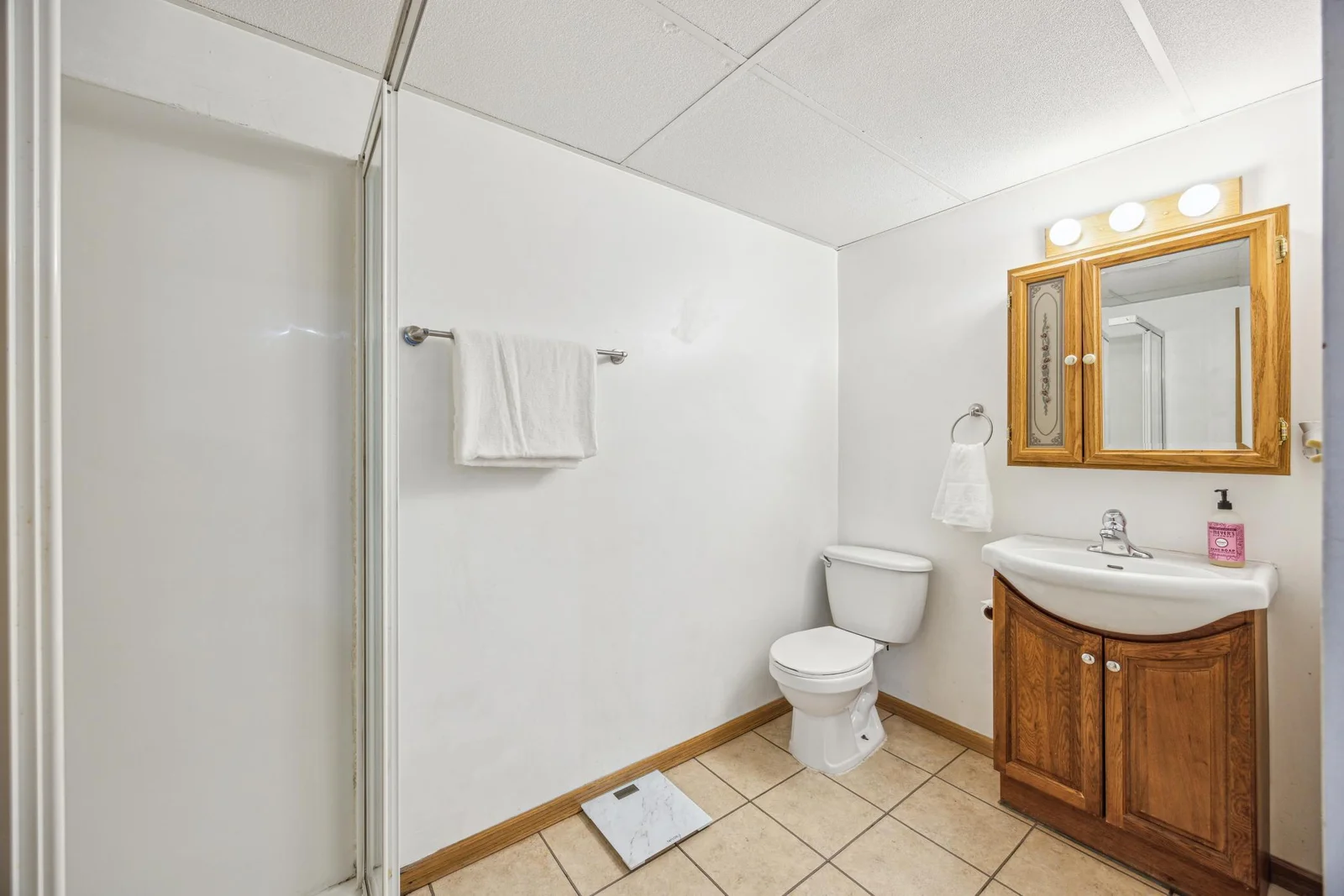 Lower Level Bathroom