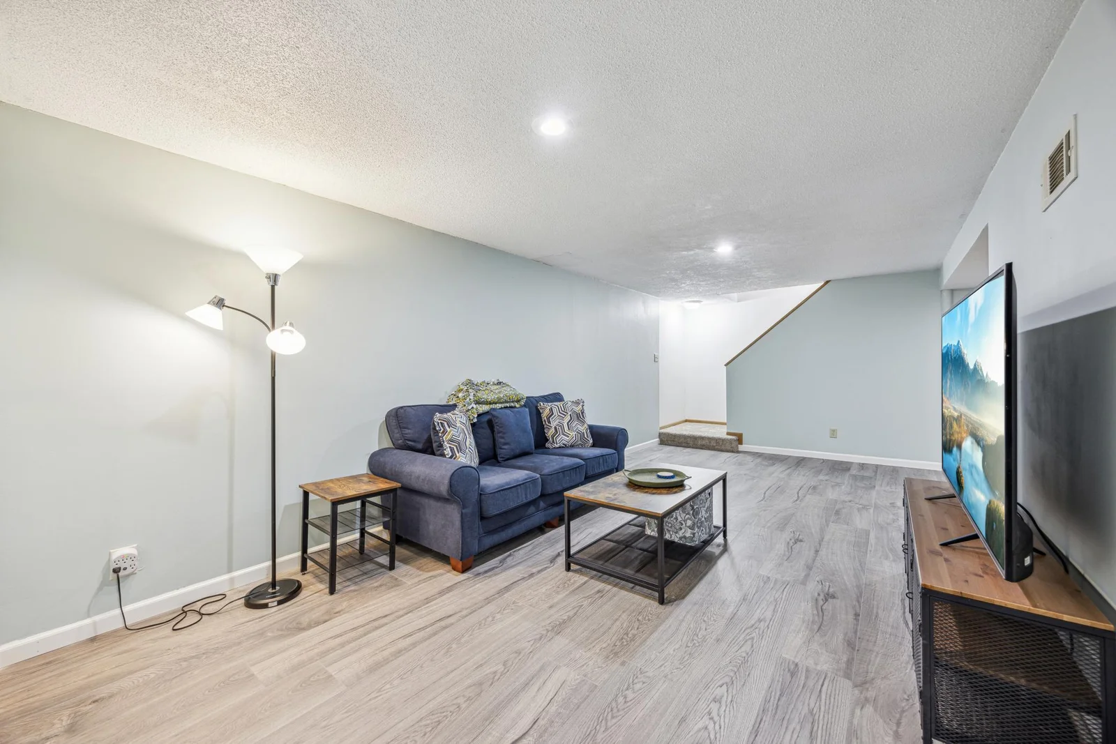 Lower Level Family Room