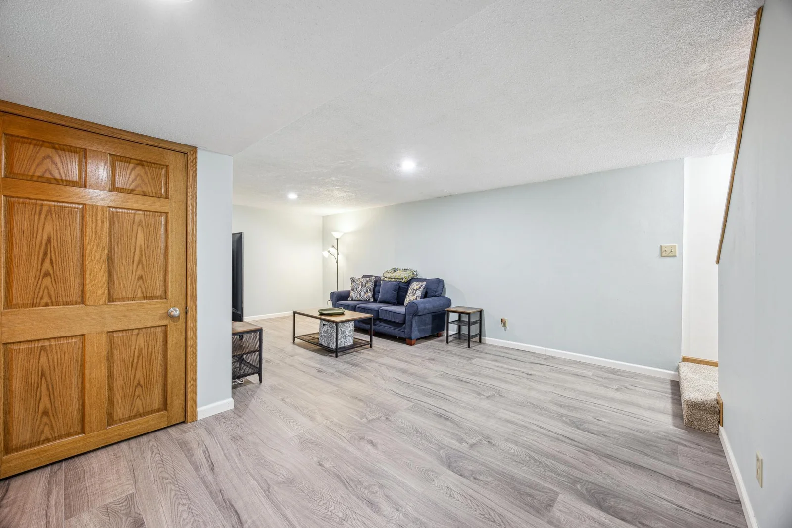 Lower Level Family Room