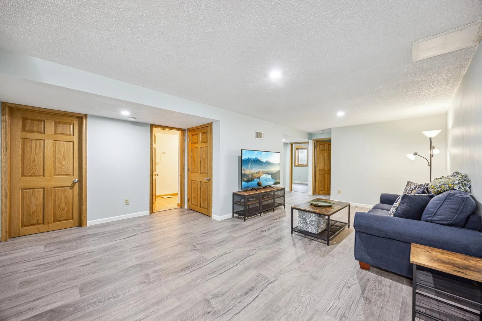 Lower Level Family Room