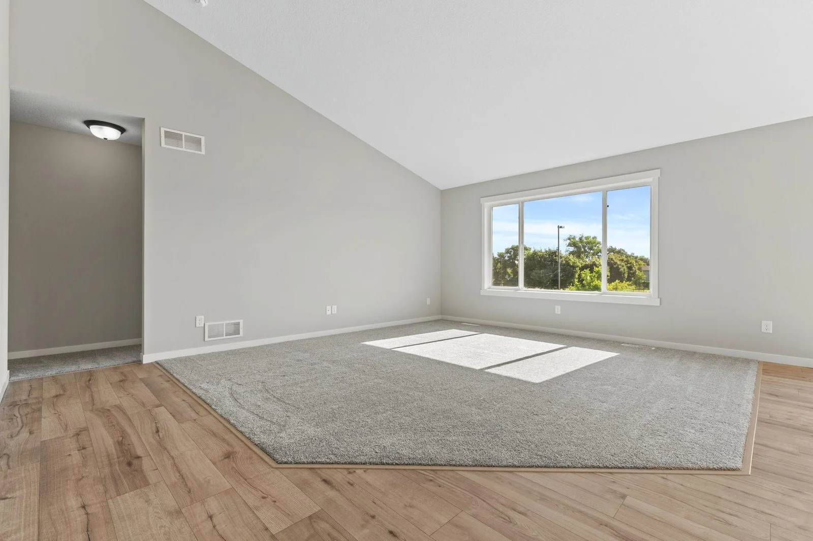 Vaulted Ceilings