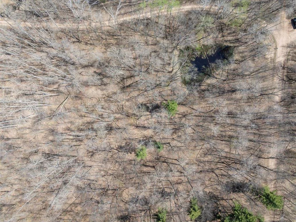 08-DJI_20250505035208_0085_D.jpg