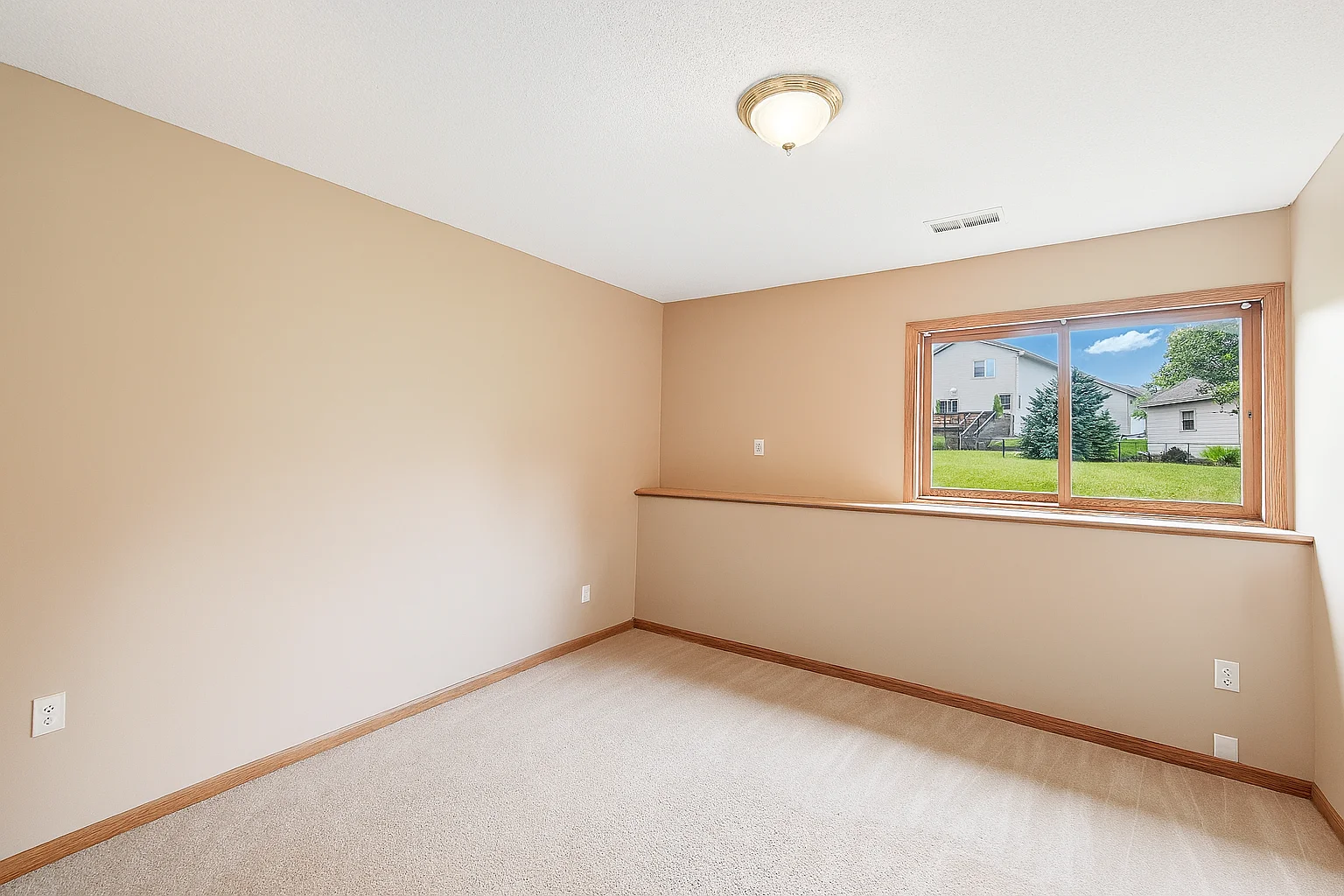 Lower level large bedroom 5 (14x13)