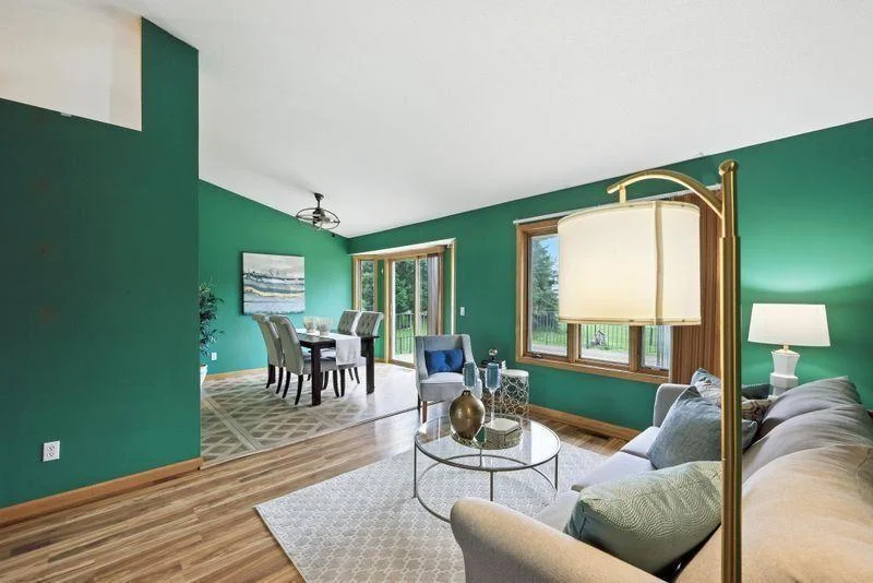 Main level living room with vaulted ceilings (In process of getting walls painted and carpet in living room/hallway, LVP in dining/kitchen