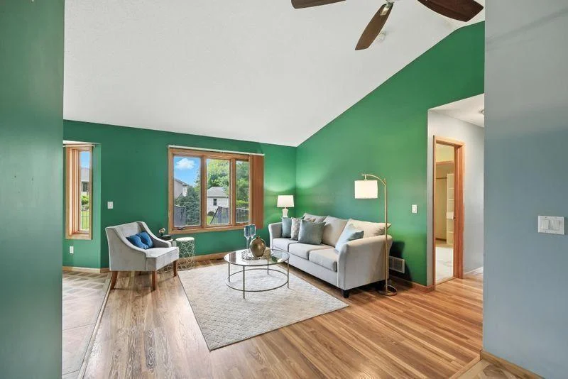 Main level living room with vaulted ceilings (In process of getting walls painted and carpet in living room/hallway, LVP in dining/kitchen