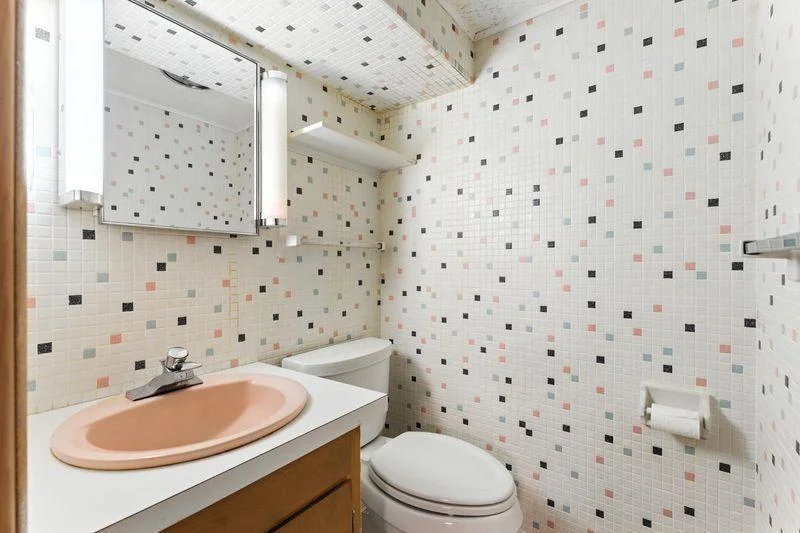 Lower level bathroom