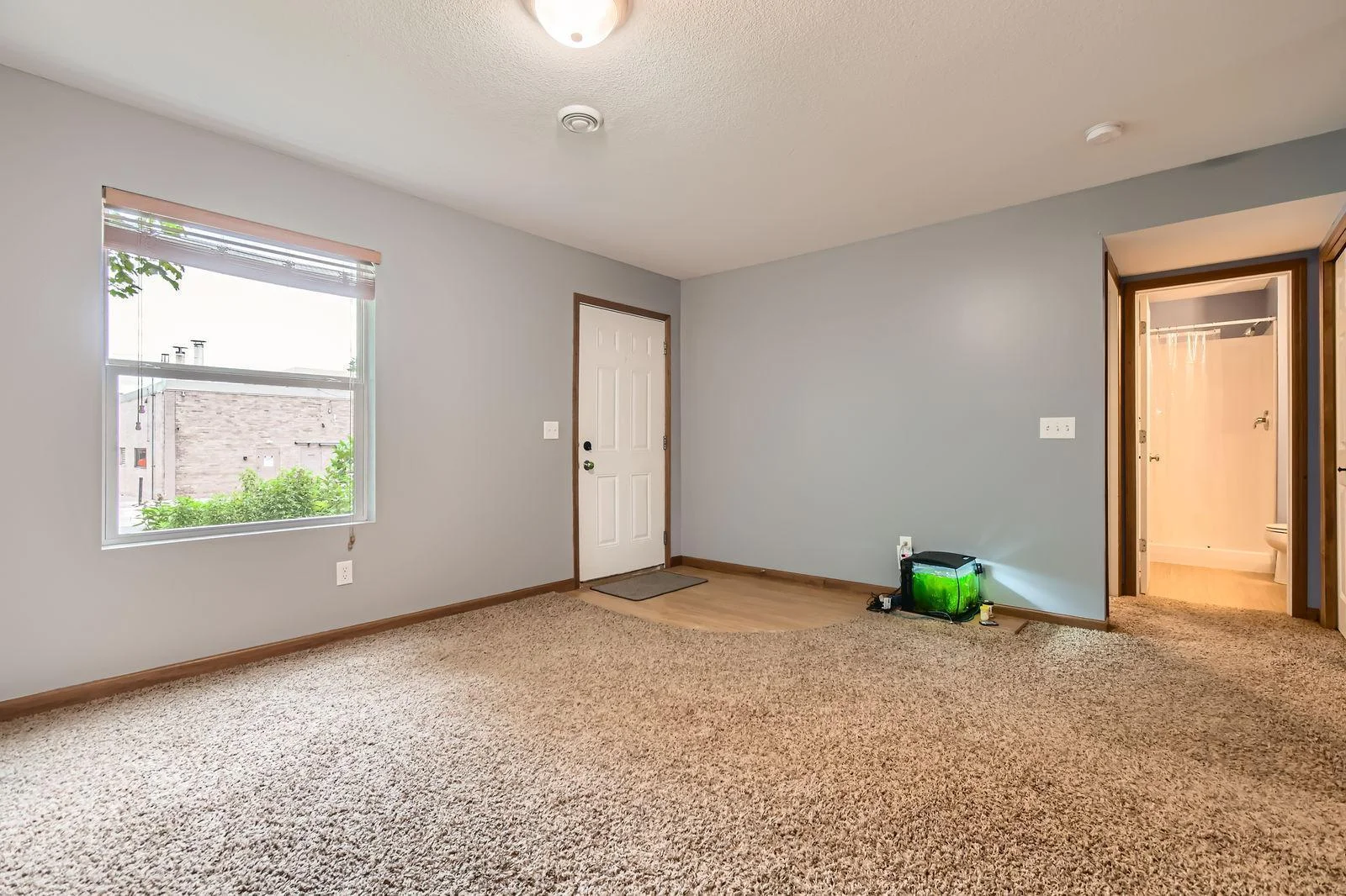 314 7th Street East - Web Quality - 024 - 25 Lower Level Living Room.jpg
