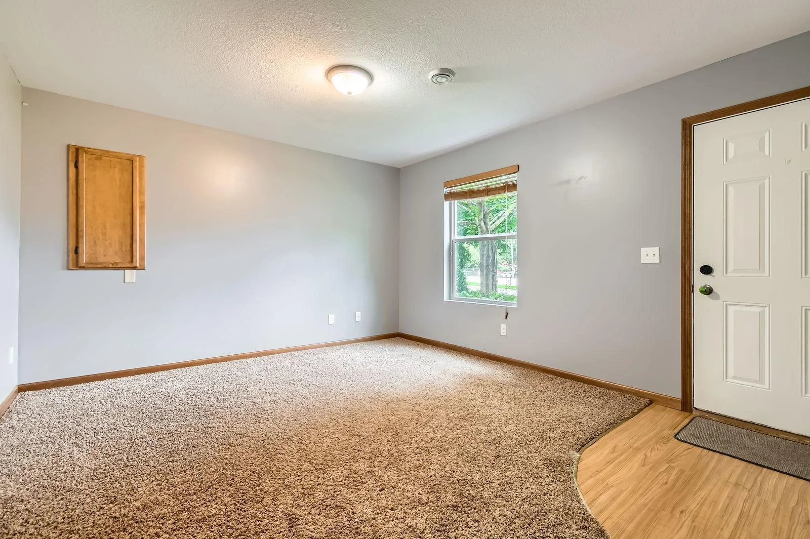 314 7th Street East - Web Quality - 025 - 26 Lower Level Living Room.jpg