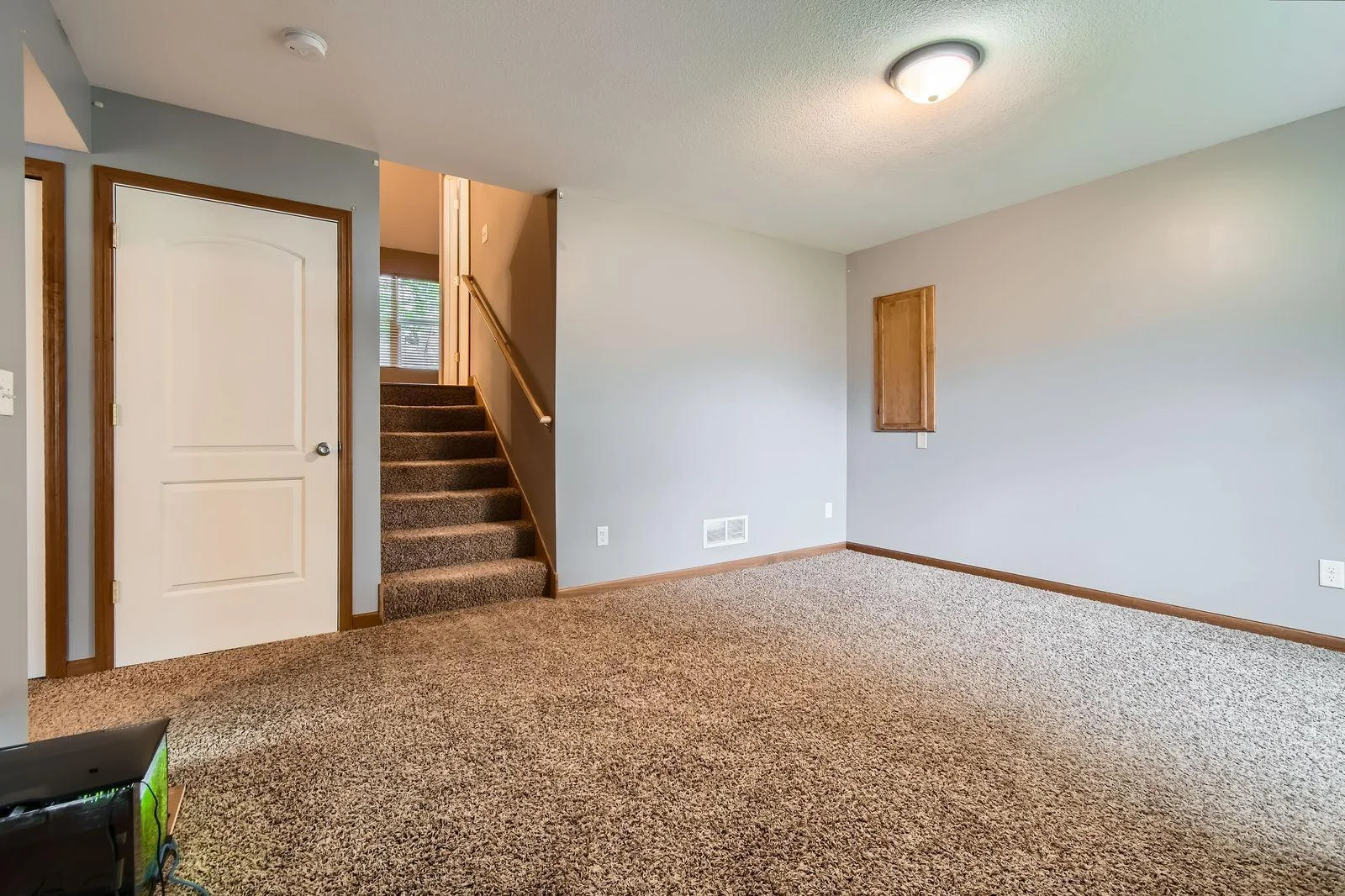 314 7th Street East - Web Quality - 023 - 24 Lower Level Living Room.jpg
