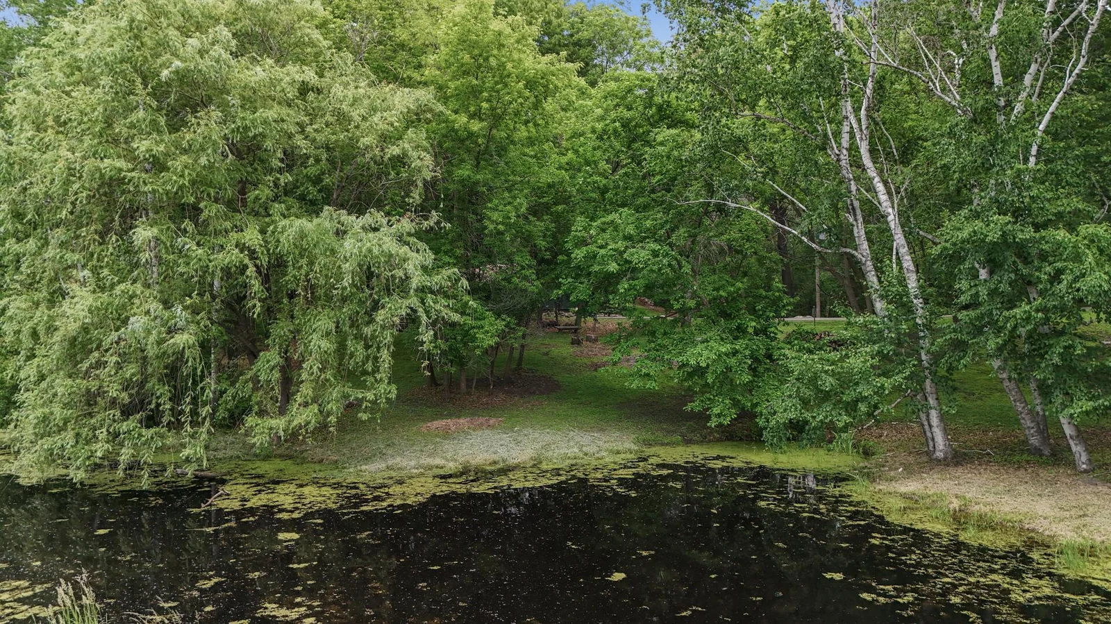 Your private pond on your 3+ acres is a unique addition to this stunning property.  Add a dock if you wish to enjoy khakis, canoes or a paddle boat!