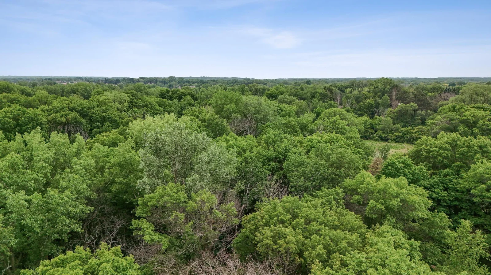 Nature surrounds you on your wooded 3+ acre property in North Oaks.