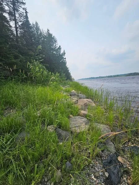 20250711_142359.jpg