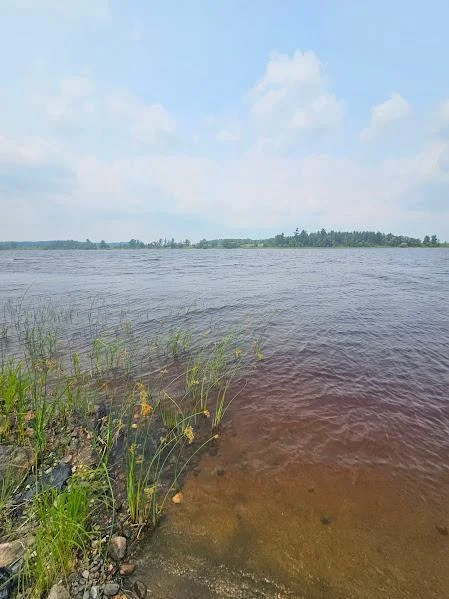 View of Canada from property