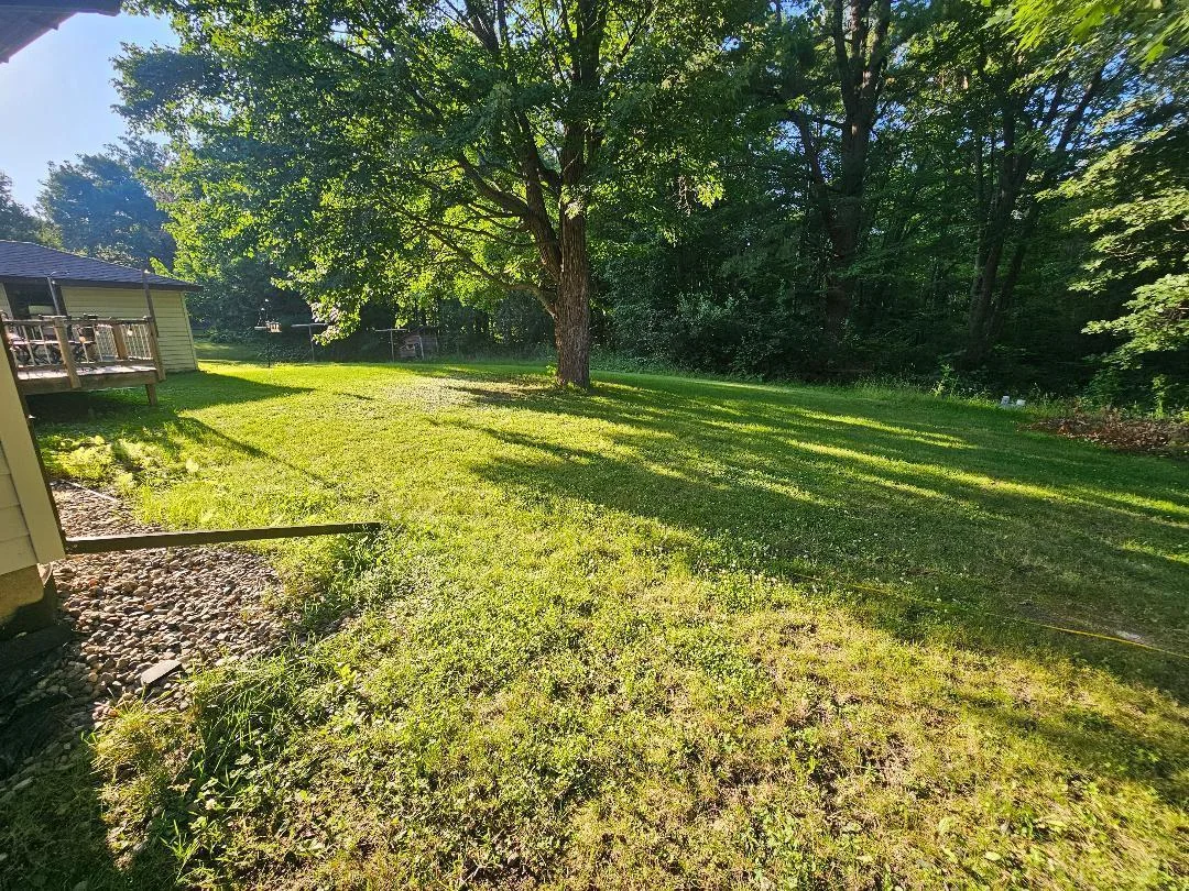 1174-back yard.jpg