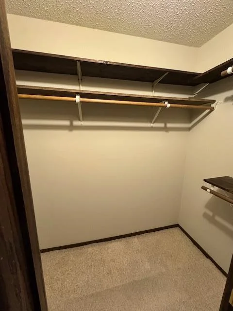 Primary Bedroom Walk in Closet