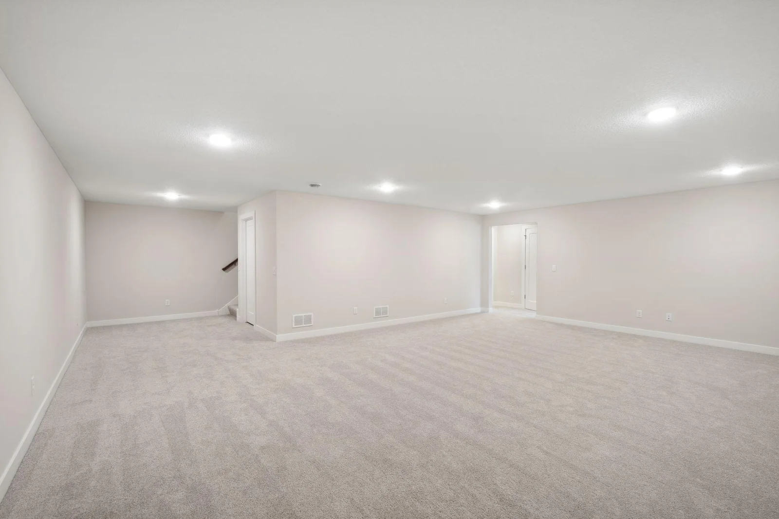 Lower level family room