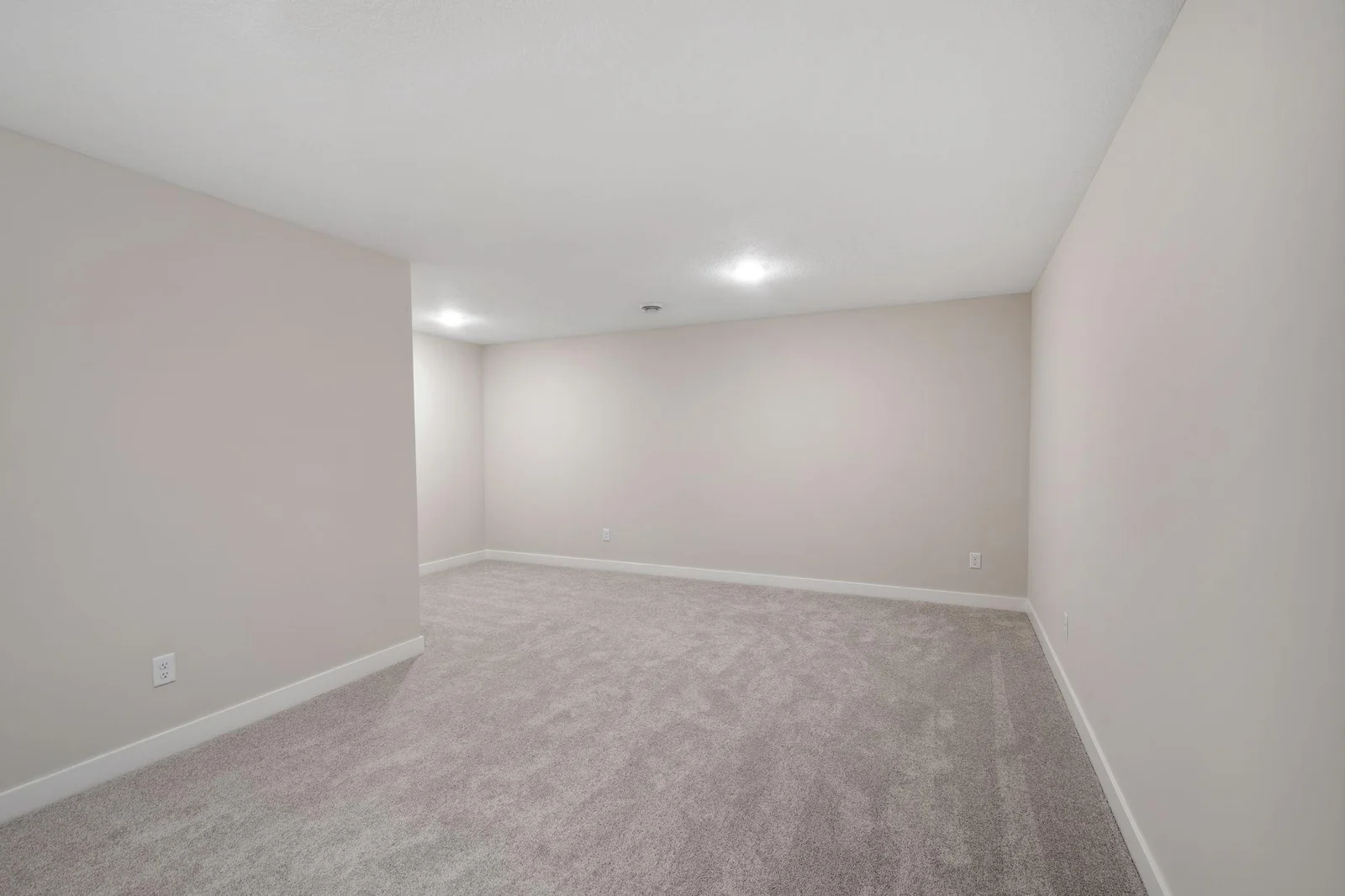 Lower level flex room