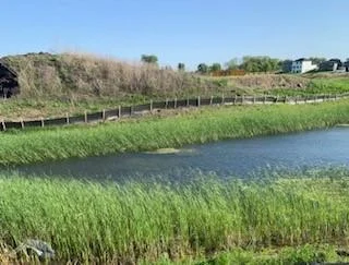 Summer nature views in Birchwood