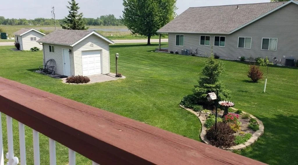 Backyard.jpg