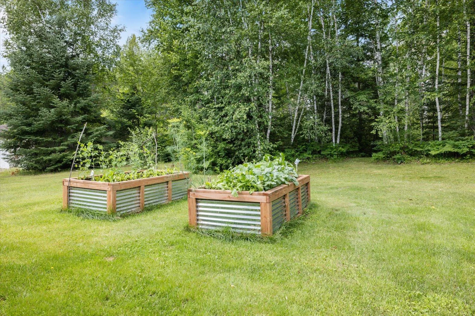 raised bed gardens