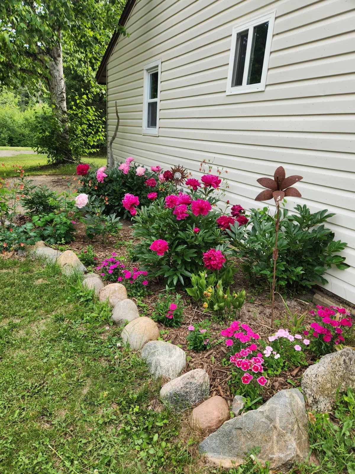 Many types of flowers