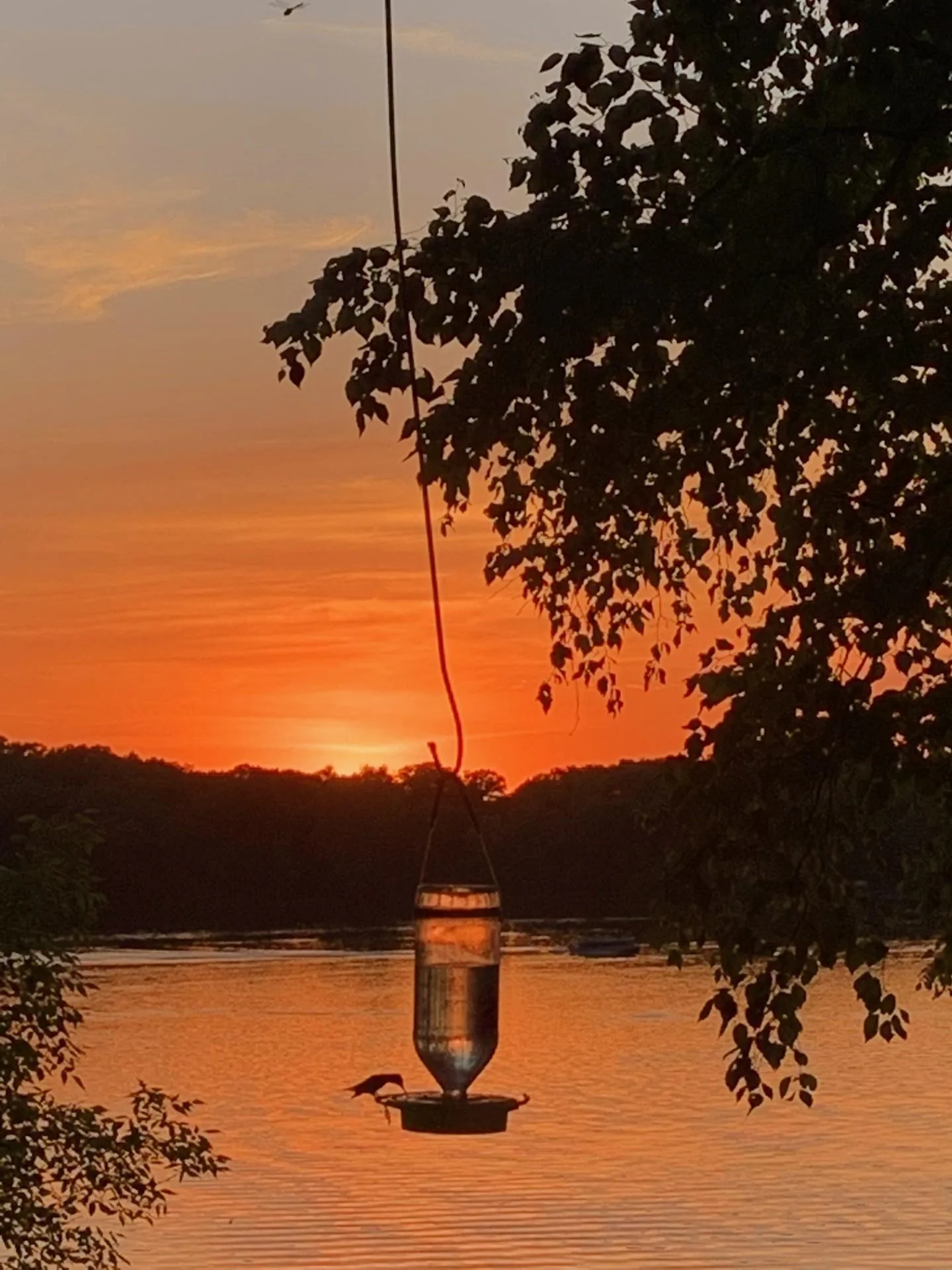Lake Life is yours!