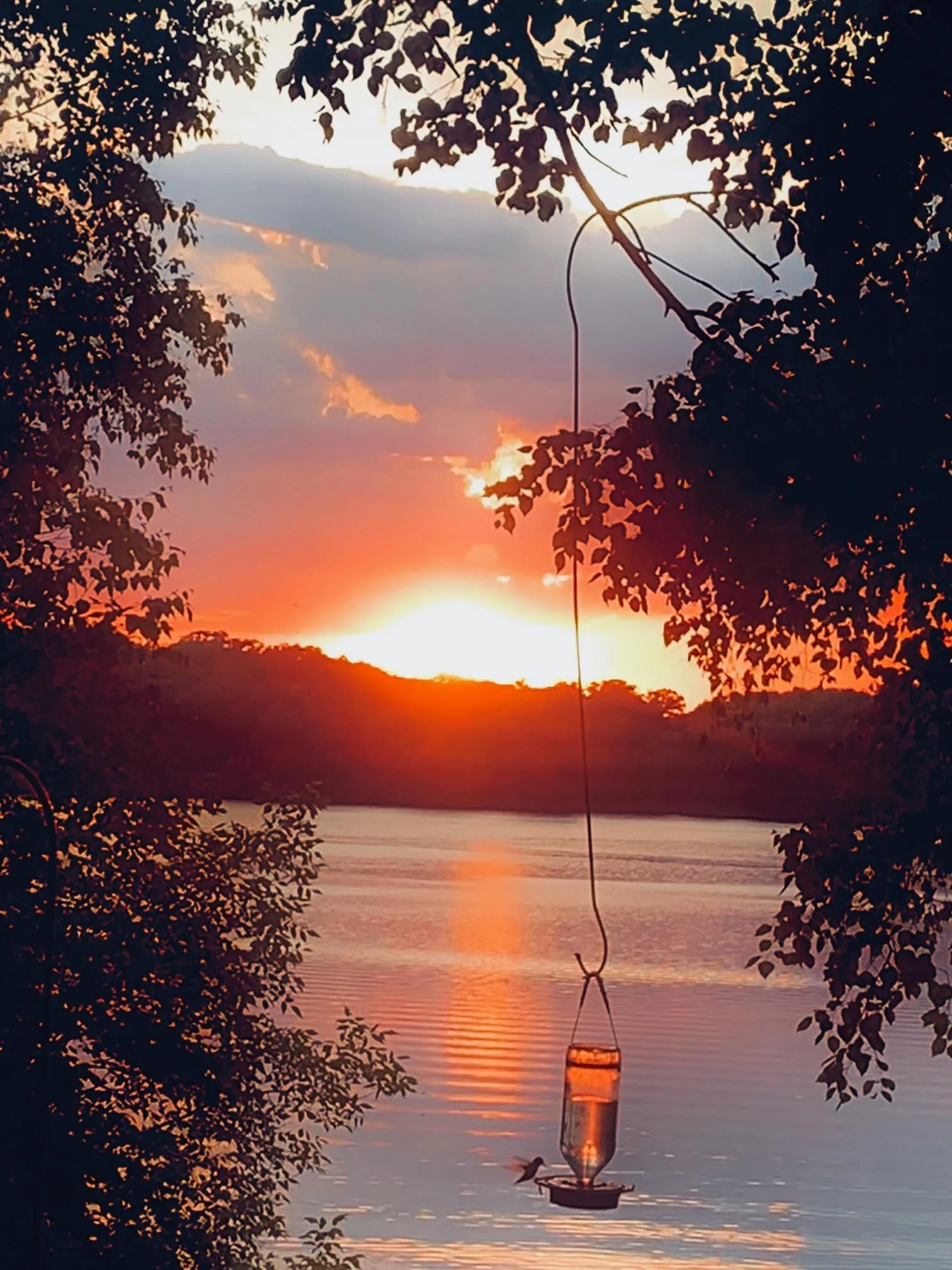 Simply Perfect