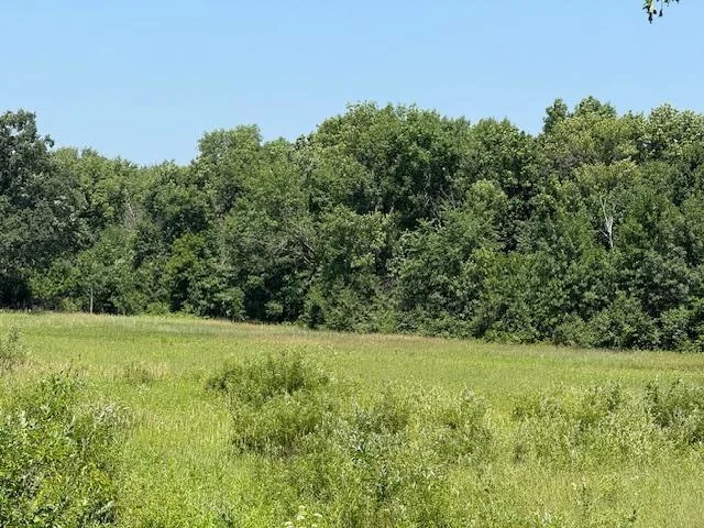 IMG_5842.JPG