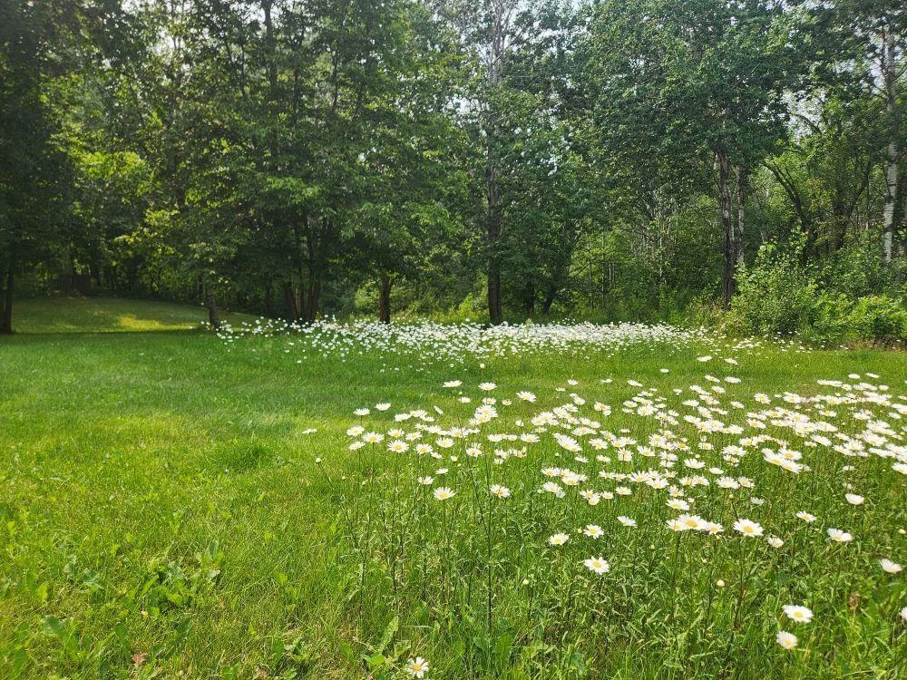20250712_152338.jpg