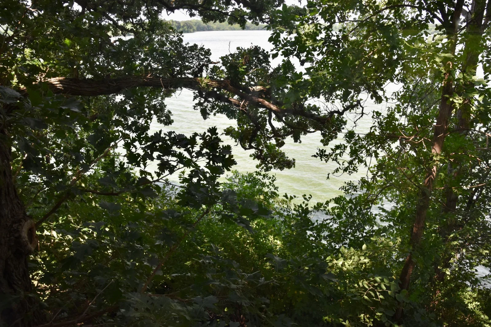 DSC_0507.jpeg