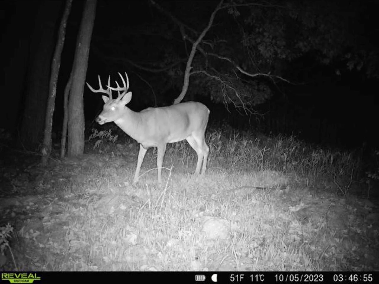 hunt your own 39 acres