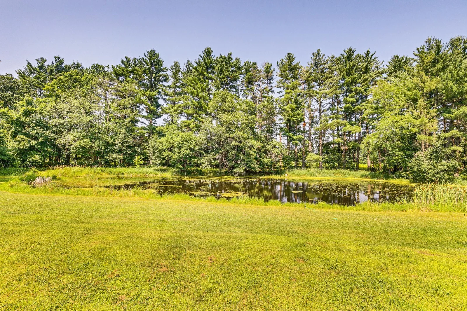 multiple ponds