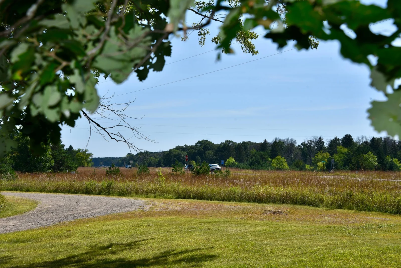 DSC_7131.JPG