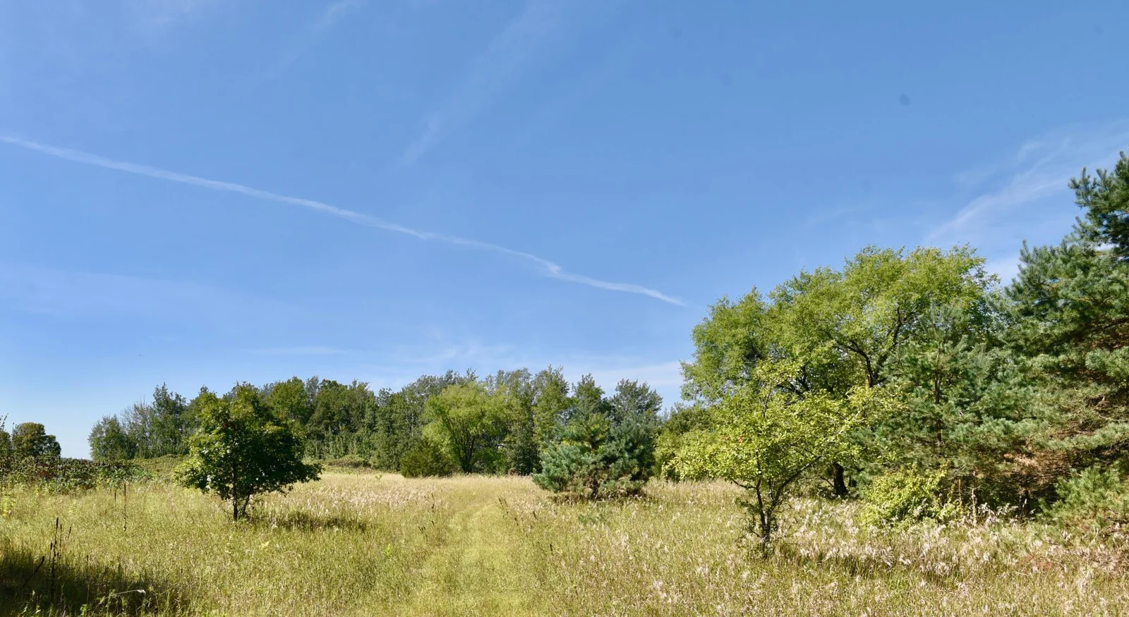 DSC_7101.JPG
