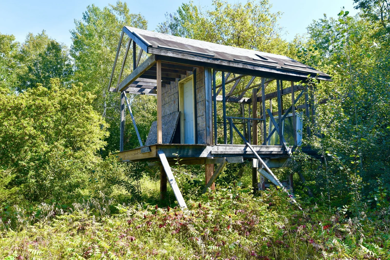 DSC_7106.JPG