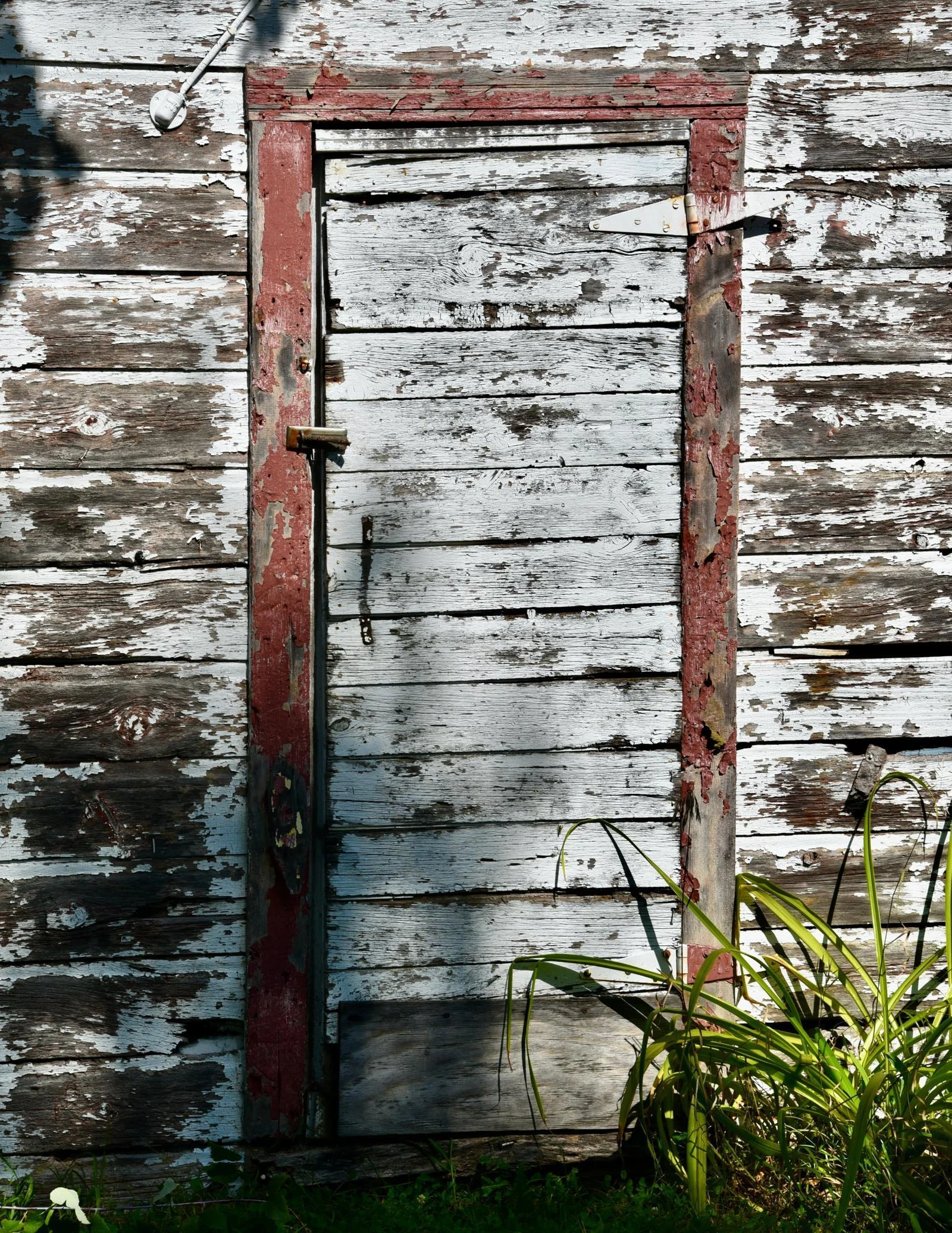 DSC_7122.JPG