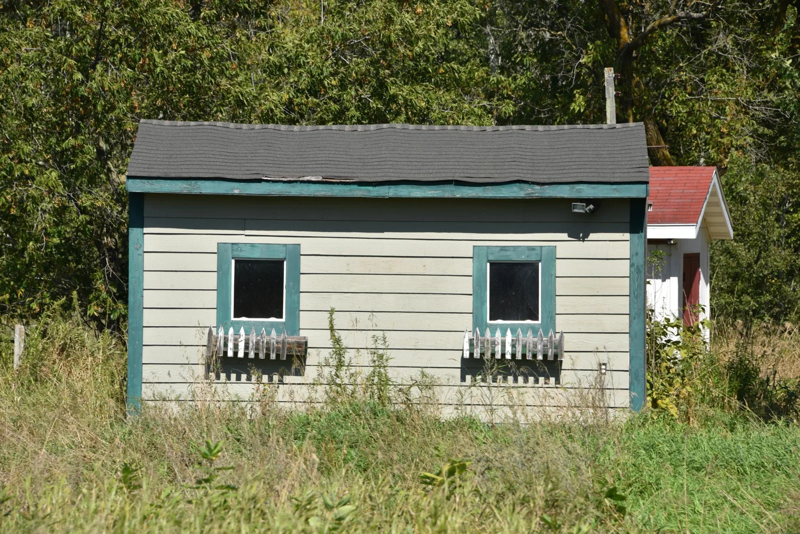 DSC_7124.JPG