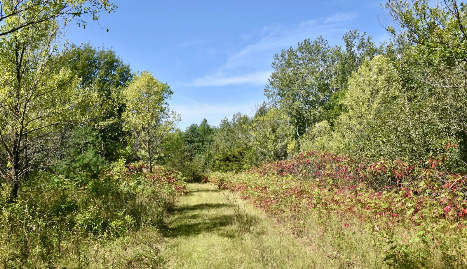 DSC_7097.JPG