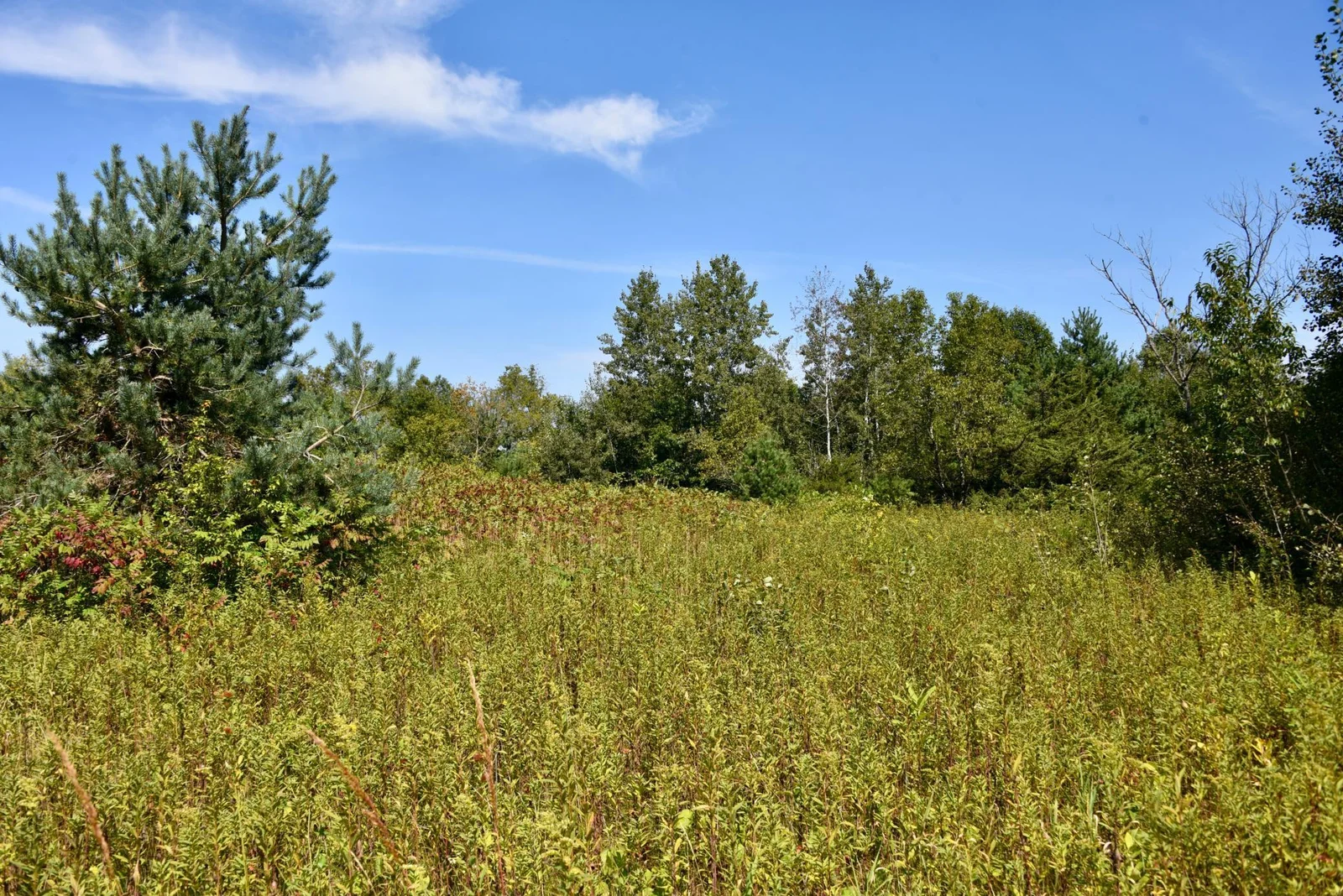 DSC_7116.JPG