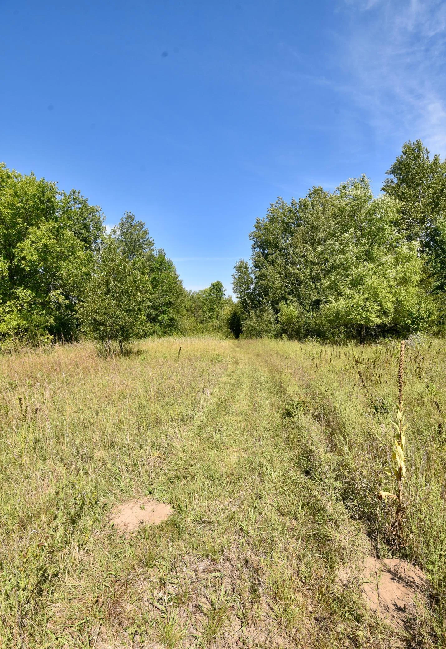 DSC_7105.JPG