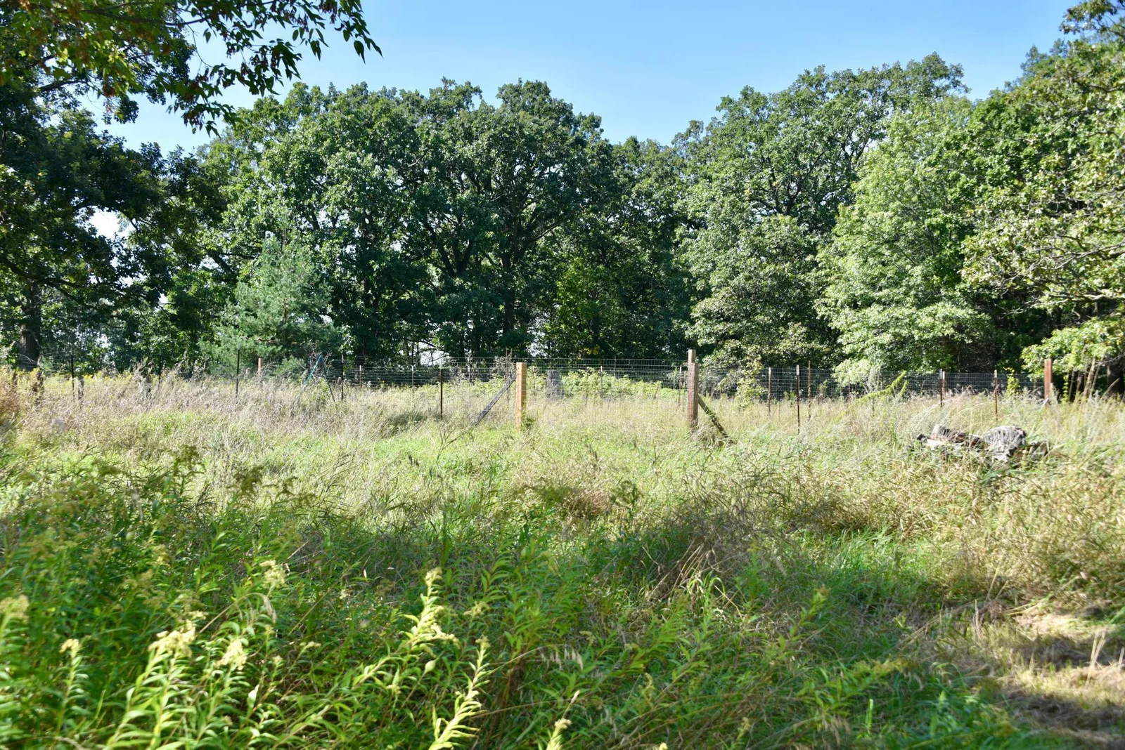 DSC_7094.JPG