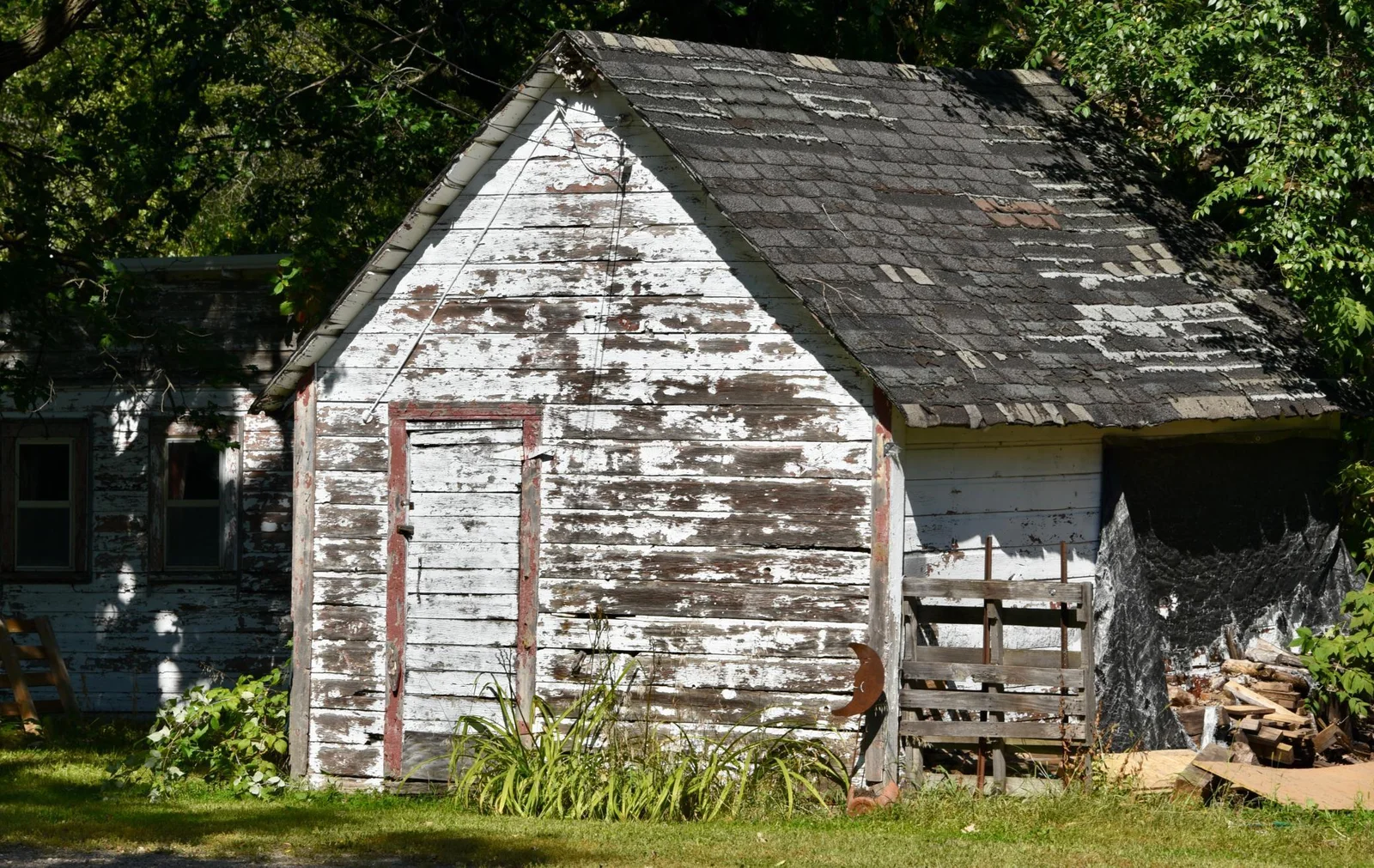 DSC_7090.JPG