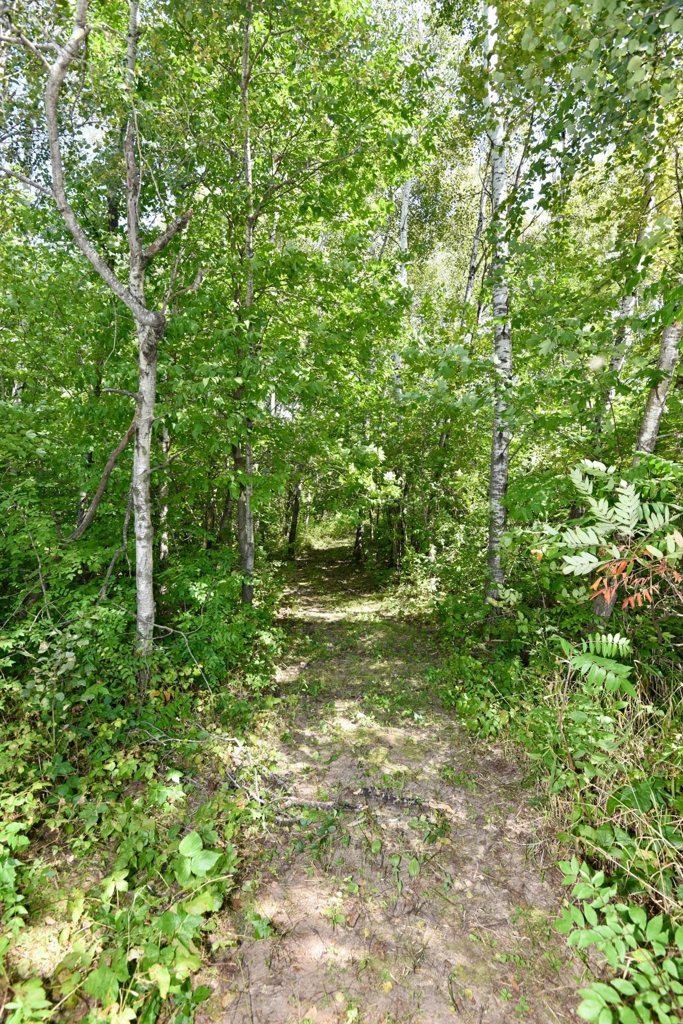 DSC_7111.JPG
