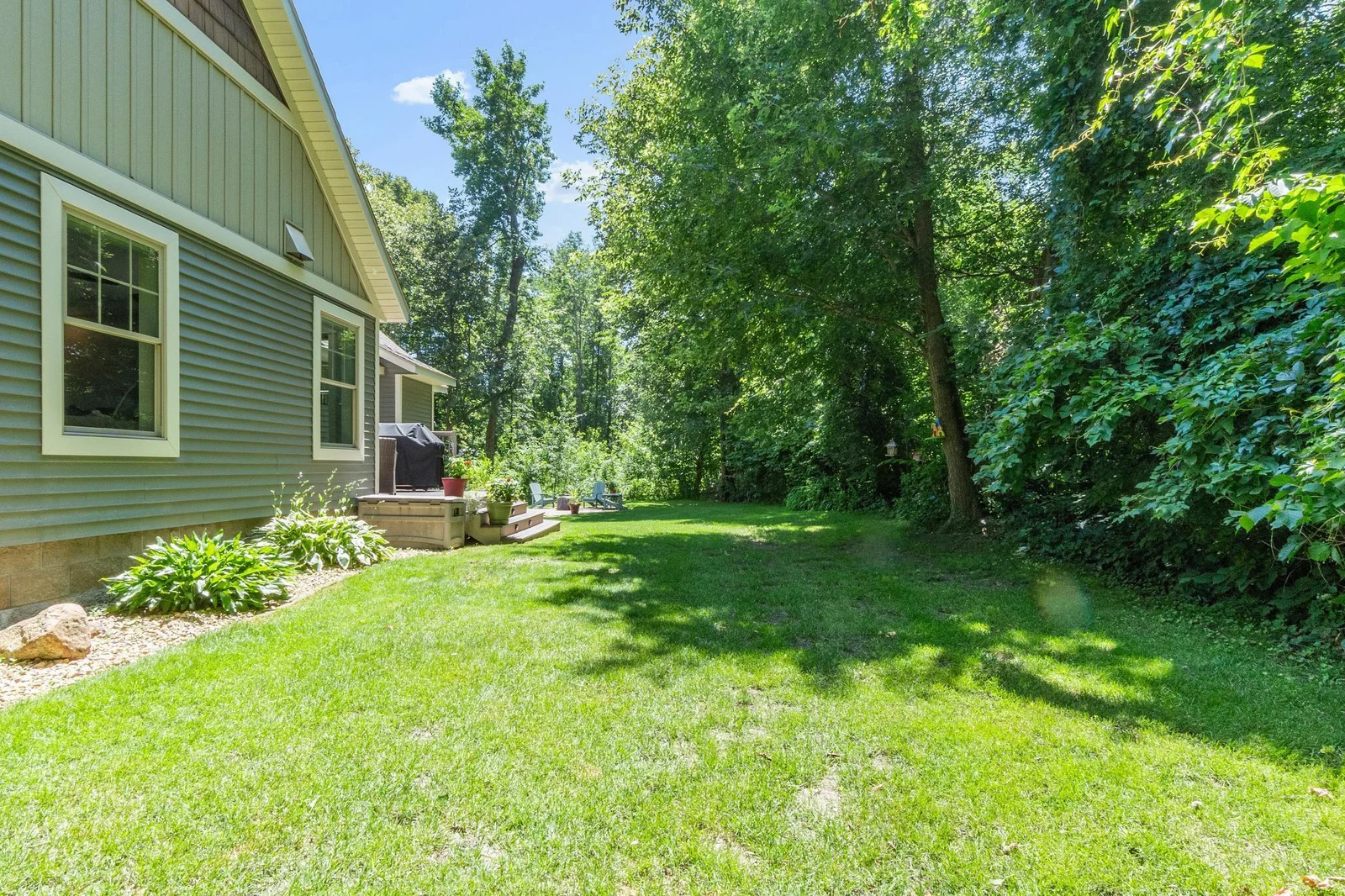 Backyard.JPG