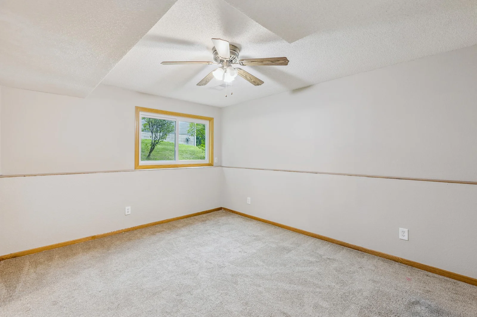 Lower level family room