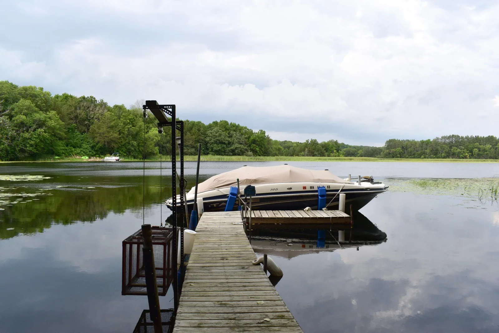 Moose lake views