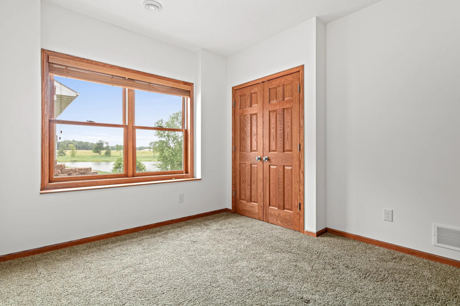 lower level bedroom.jpg