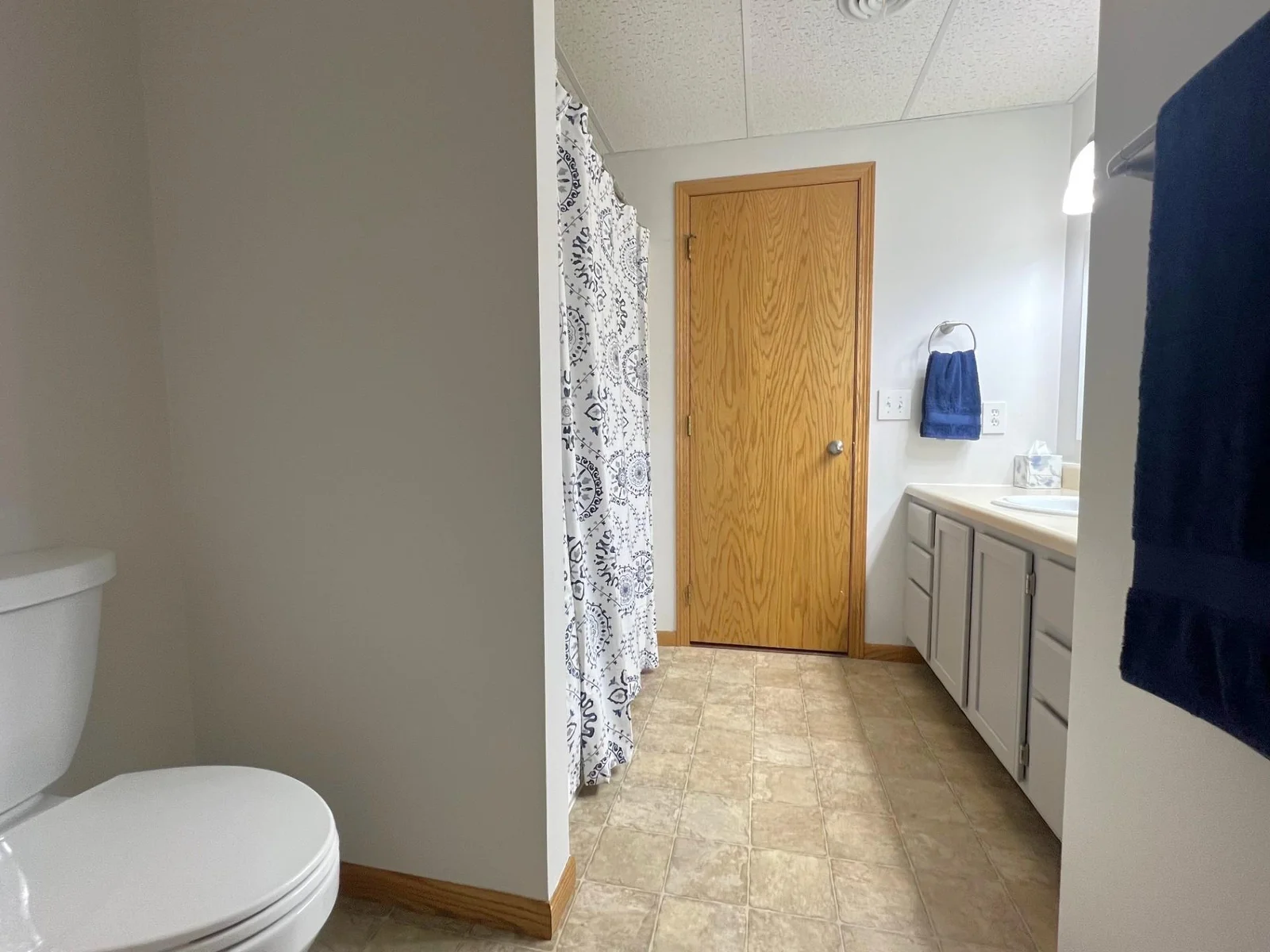 Lower Level Bathroom
